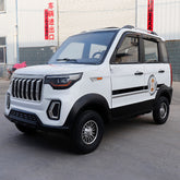 Hot Selling Low Speed Electric Vehicles New Energy Mini Four Wheels Low Energy Consumption For Sale